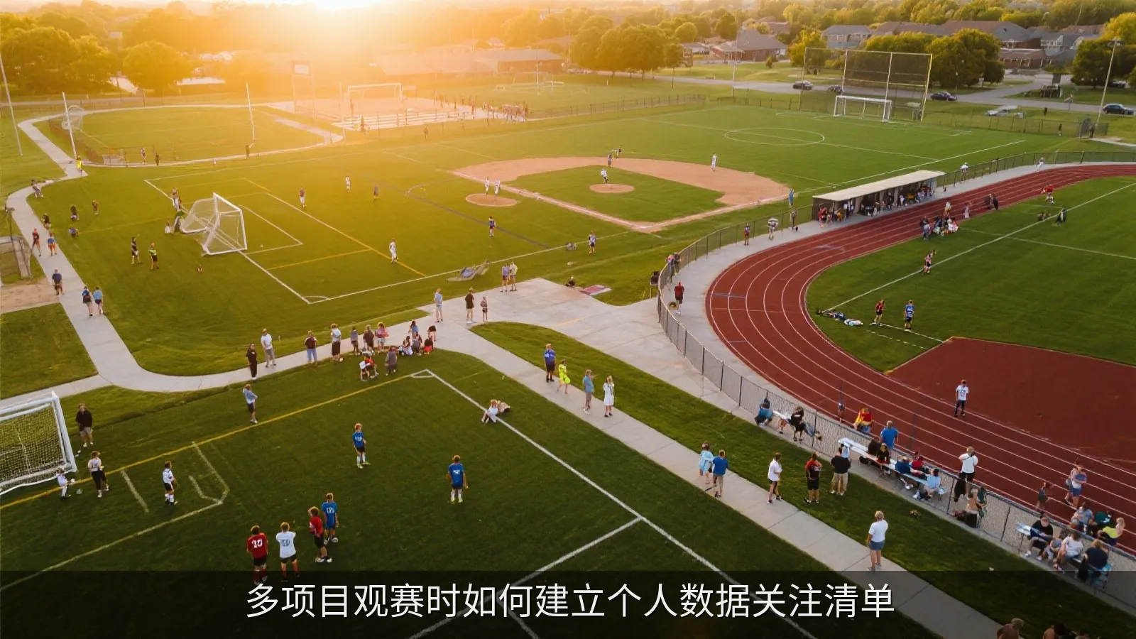 不同运动项目的简洁数据卡片并排展示,共享观察维度和可调整字段